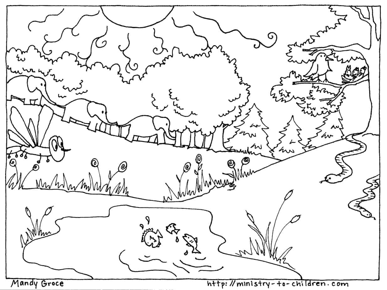 Creation Coloring Pages For Toddlers
 Creation Coloring Pages God Made the Animals Fish Birds