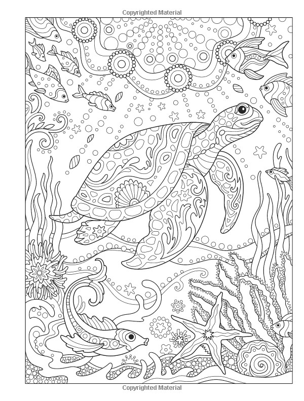 Creative Haven Coloring Books For Adults
 Amazon Creative Haven Fanciful Sea Life Coloring Book