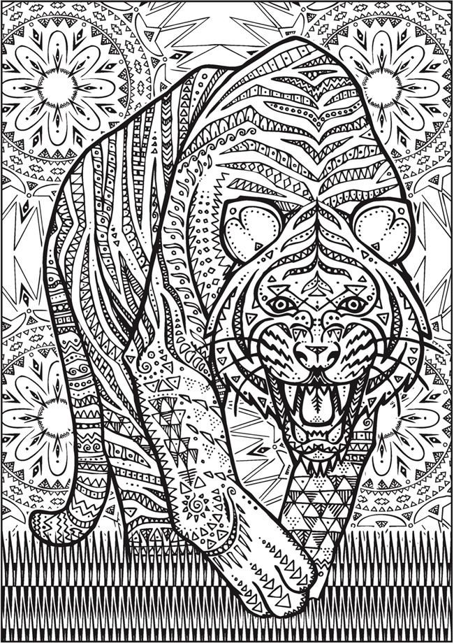 Creative Haven Coloring Books For Adults
 Creative Haven Untamed Designs Colouring Book Page 7 of