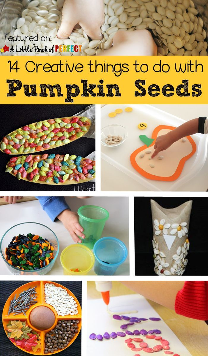Creative Things To Do With Kids
 14 Fun things to do with Leftover Pumpkin Seeds with Kids