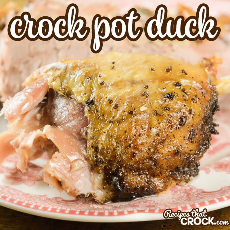 Crock Pot Wild Duck Recipes
 Crock Pot Duck Recipes That Crock