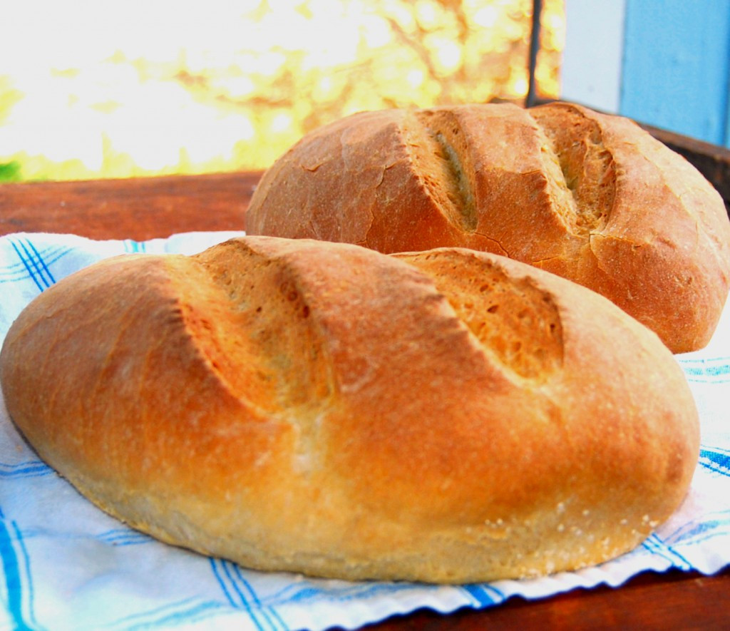Crusty Italian Bread Recipe
 Crusty Italian Bread • Holy Cow Vegan Recipes