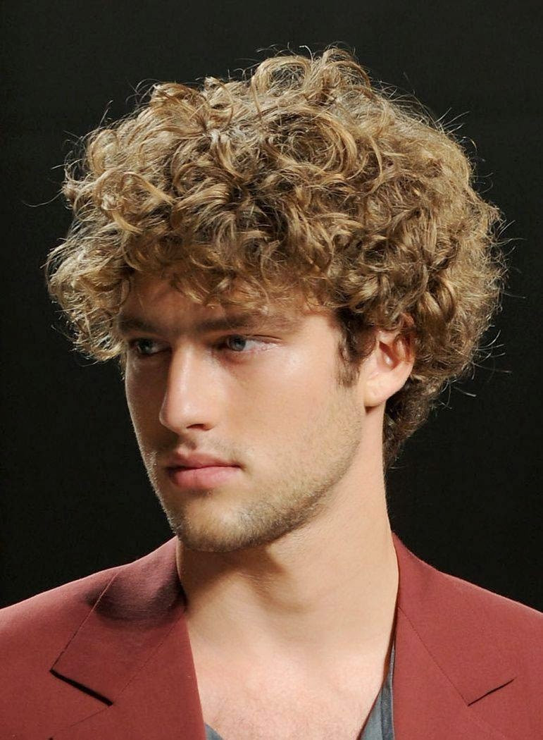 Curly Hairstyles For Boys
 Hairstyle 2014 Men s Curly Hairstyles 2014