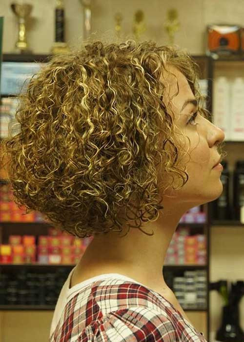 Curly Perm Hairstyles
 Short Curly Hairstyles 2014 2015