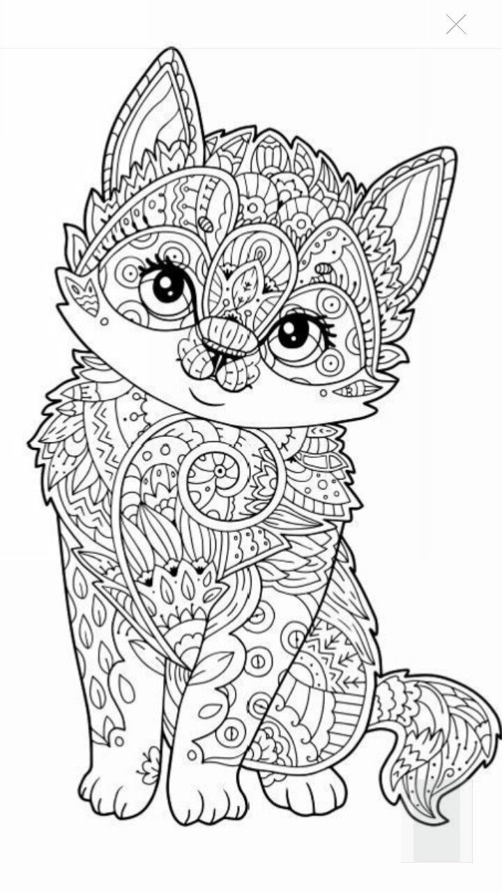 Cute Animal Coloring Pages For Adults
 17 Best images about coloring pages on Pinterest