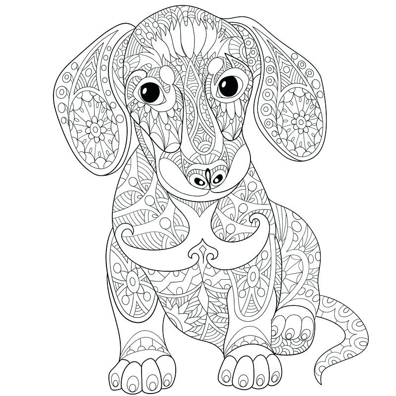 Cute Animal Coloring Pages For Adults
 Dachshund Coloring Pages Printable at GetColorings