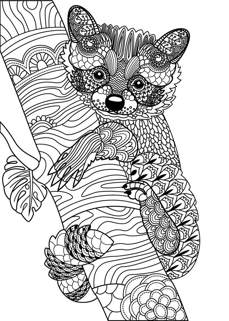Cute Animal Coloring Pages For Adults
 809 best Animal Coloring Pages for Adults images on