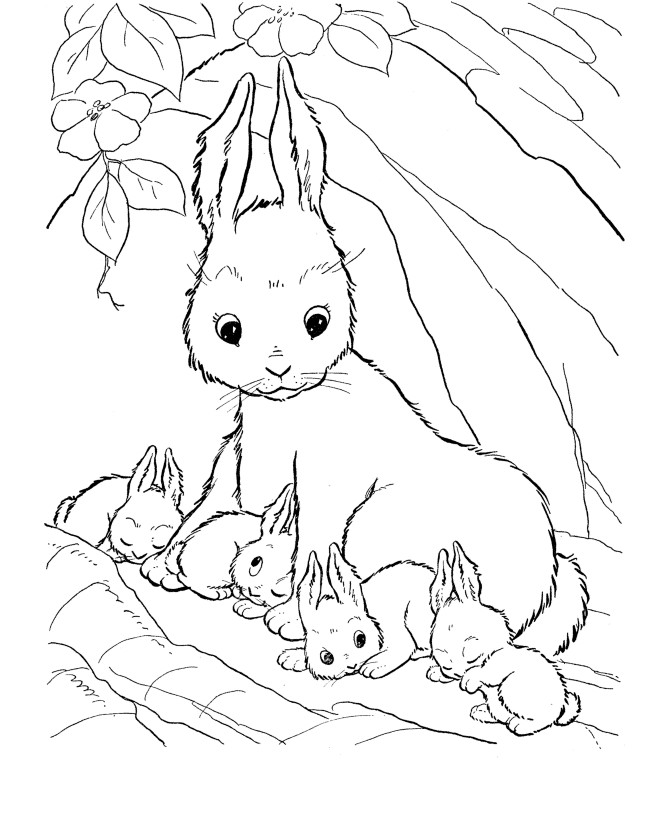 Cute Animal Coloring Pages For Girls
 Coloring Pages For Girls Cute coloring pages