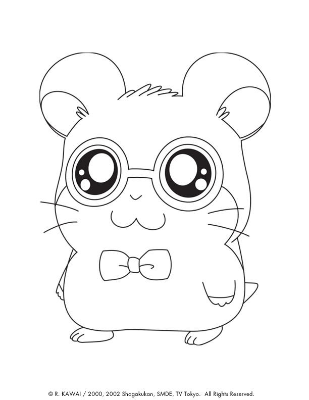 Cute Animal Coloring Pages For Girls
 Hamtaro Cute Animals Coloring Pages