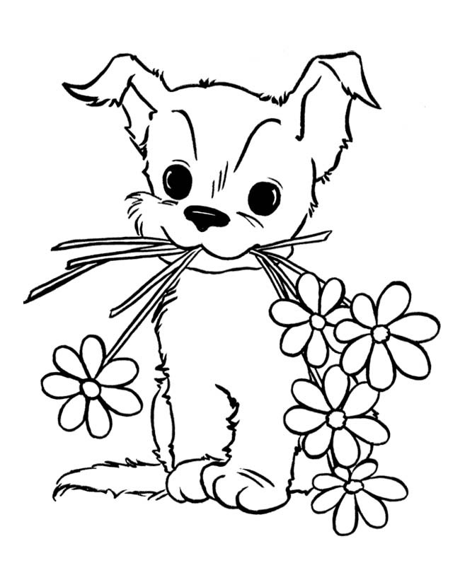 Cute Animal Coloring Pages For Kids
 Cute Puppy Coloring Pages For Kids – Free Printable