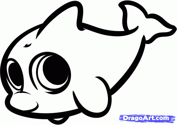 Cute Baby Animal Coloring Pages Dragoart
 How to Draw a Baby Dolphin Step by Step Sea animals