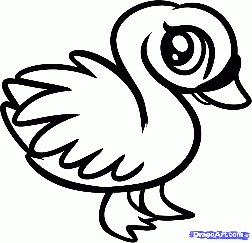 Cute Baby Animal Coloring Pages Dragoart
 How to Draw a Baby Swan Step by Step Birds Animals