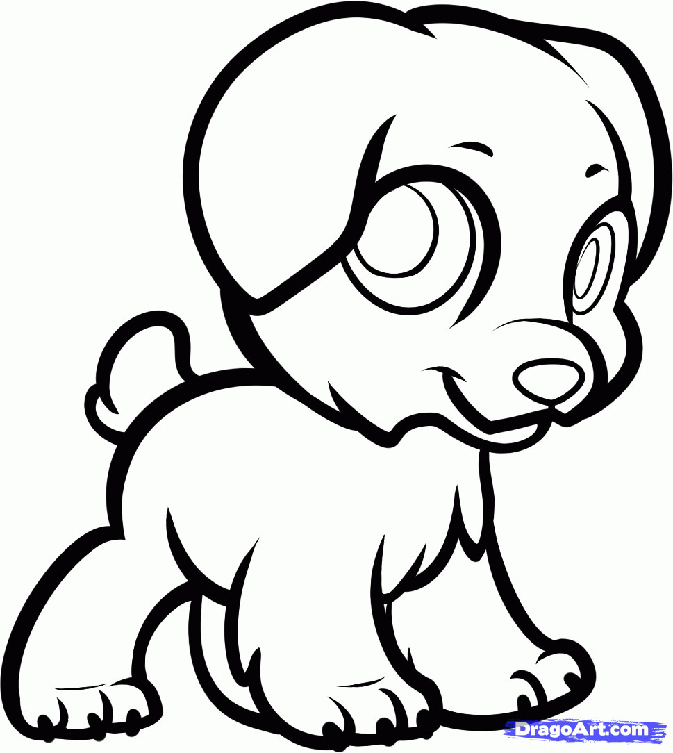 Cute Baby Animal Coloring Pages Dragoart
 How to Draw Chibi Naga Legend of Korra Step by Step