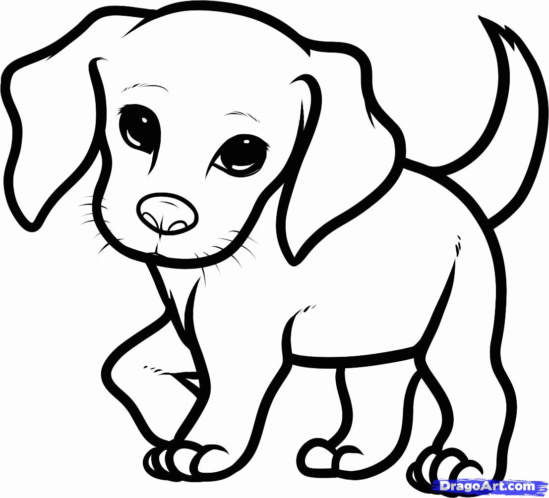 Top 21 Cute Baby Animal Coloring Pages Dragoart – Home, Family, Style