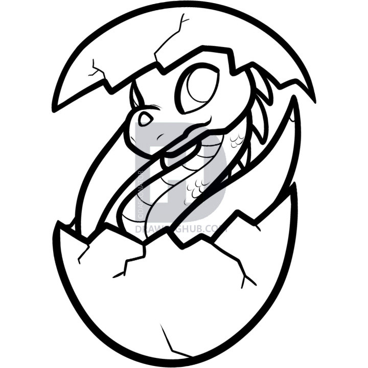 Cute Baby Dragon Coloring Pages
 How To Draw A Dragon Hatchling Dragon Hatchling Step by