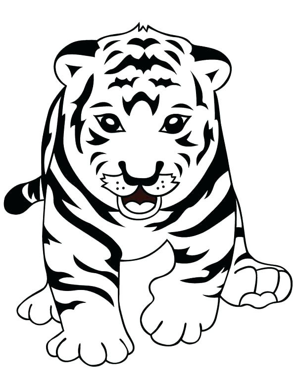 Cute Baby Tiger Coloring Pages
 Baby White Tiger Drawing at GetDrawings