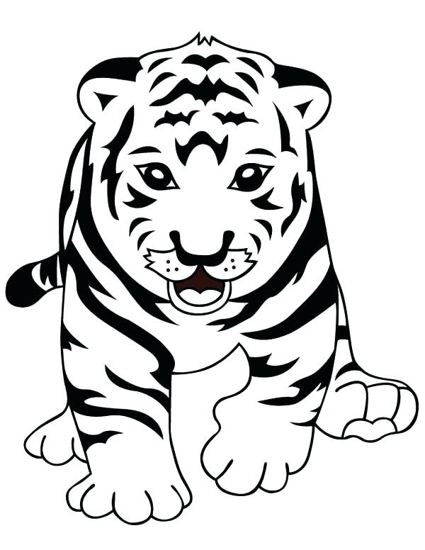 Cute Baby Tiger Coloring Pages
 Siberian Tiger Coloring Page at GetColorings