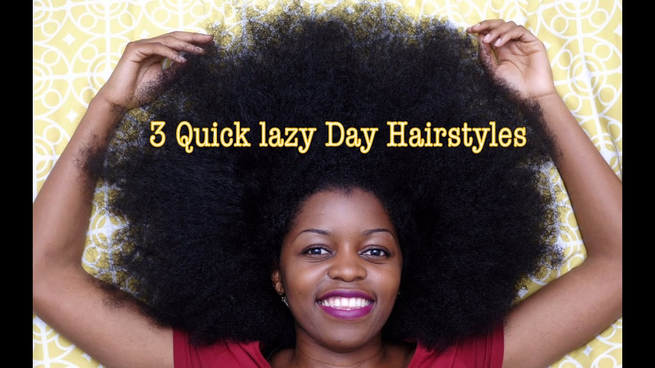 Cute Quick Natural Hairstyles
 3 Quick Lazy Day Hairstyles for Natural Hair