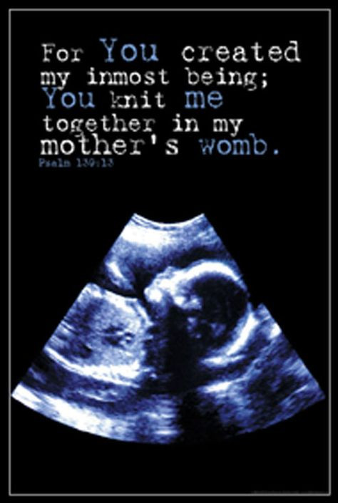Cute Quotes About Unborn Baby
 Unborn Baby Quotes QuotesGram