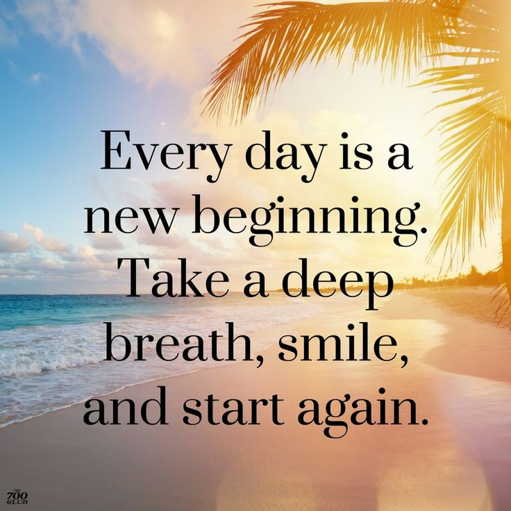 Daily Positive Quotes
 Positive Quotes For more daily inspiration connect with