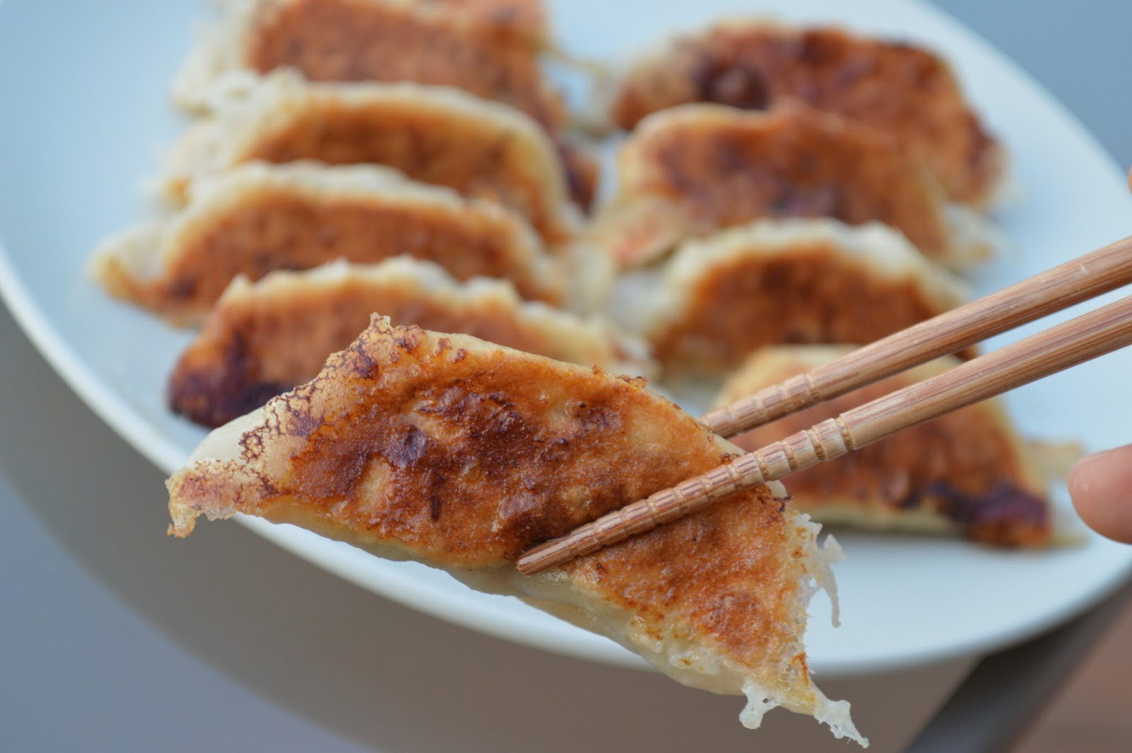 Deep Fried Dumplings
 Pan fried Dumplings Recipe — Dishmaps
