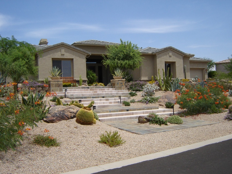 Desert Landscape Front Yard
 High Color Desert Landscaping in Phoenix
