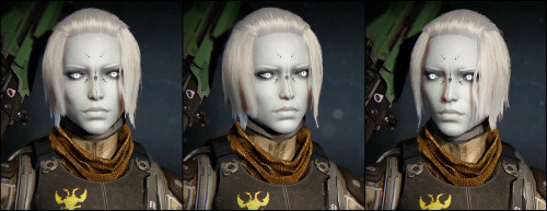Destiny Human Female Hairstyles From Behind
 female awoken
