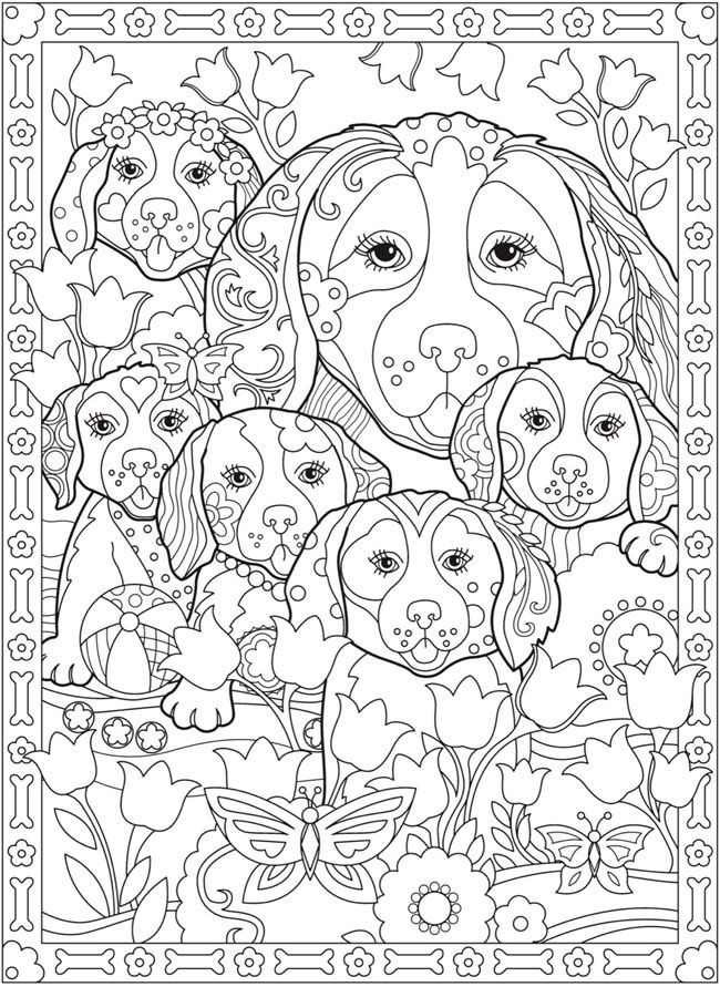 Detailed Coloring Pages For Girls
 Pin on DOGS STRANGE SPECIAL More Cats