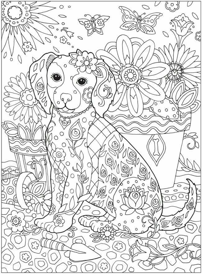 Detailed Coloring Pages For Girls
 Пин от пользователя Lena E на доске Colouring pages