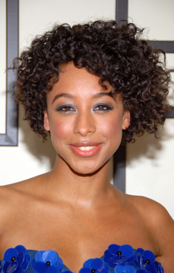 Different Natural Hairstyles
 Different hairstyles for natural black hair Hairstyle