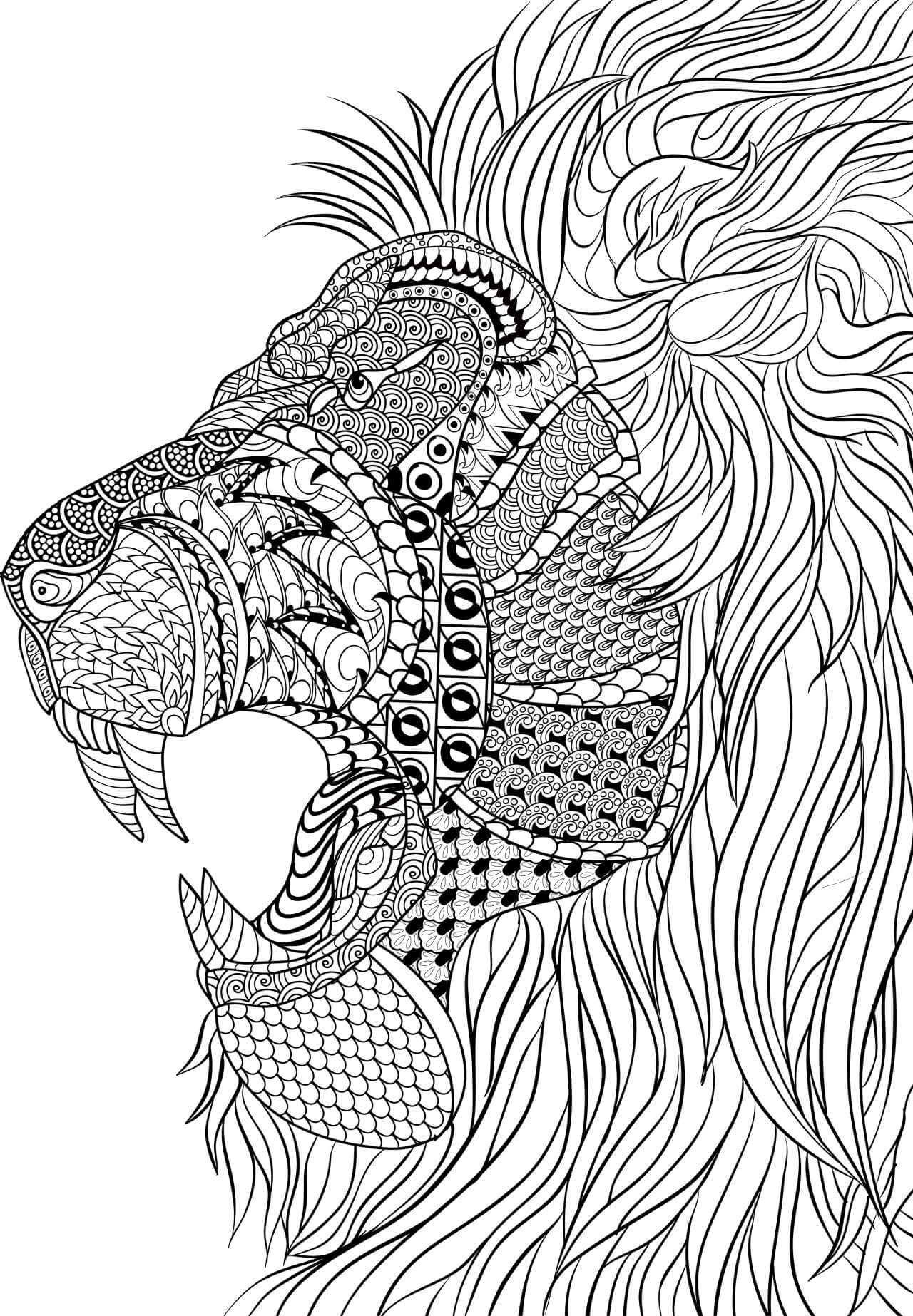 Difficult Coloring Pages For Adults
 Coloring Pages For Adults Difficult Animals 4