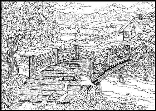 Difficult Coloring Pages For Adults
 detailed coloring pages Google Search