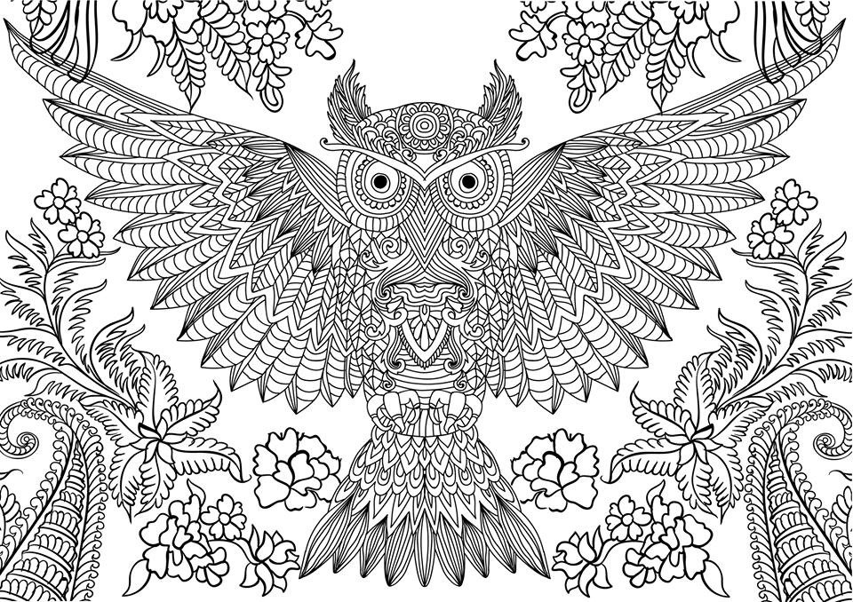Difficult Coloring Pages For Adults
 10 Difficult Owl Coloring Page For Adults