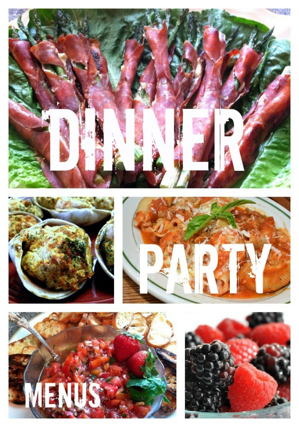 Dinner Party Meal Ideas
 Dinner Party Recipes