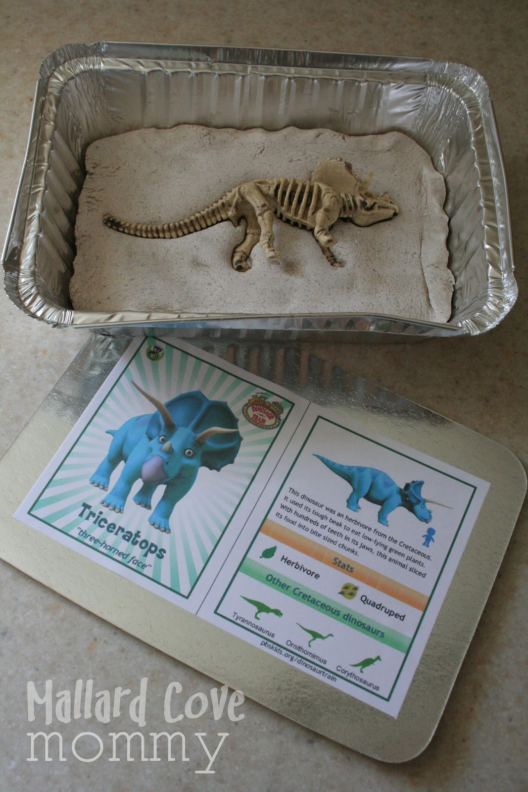 Dinosaur Excavation Kit DIY
 Mallard Cove Mommy DIY Dino Dig Kits