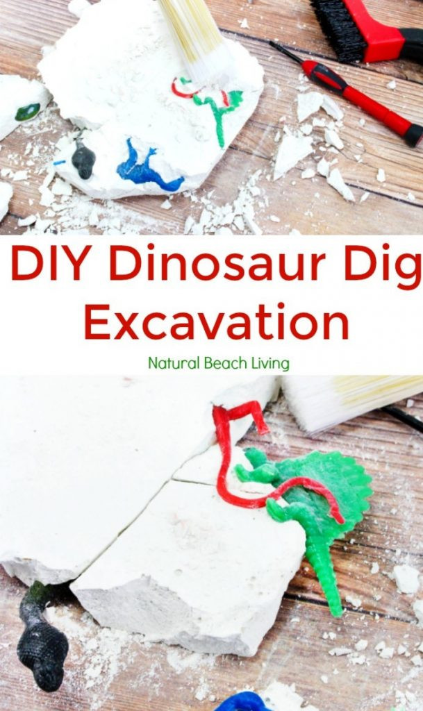 Dinosaur Excavation Kit DIY
 How to Make Dinosaur Dig Excavation for Kids Natural