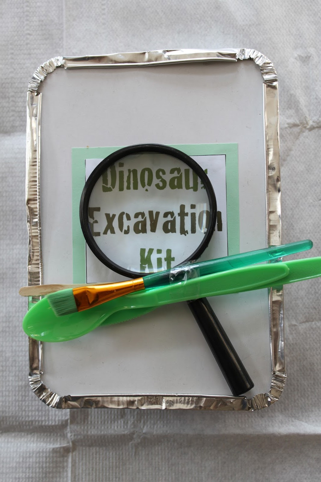 Dinosaur Excavation Kit DIY
 Dinosaur Theme