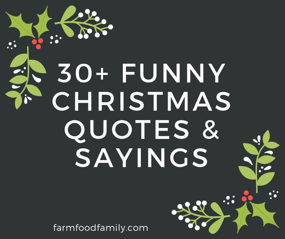 Dirty Christmas Quotes
 30 Funny Christmas Quotes & Sayings That Make You Laugh