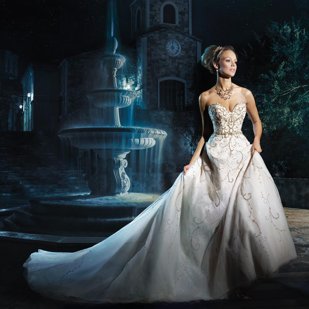 Disney Wedding Gown
 Disney Wedding Dresses for Fairytale Weddings