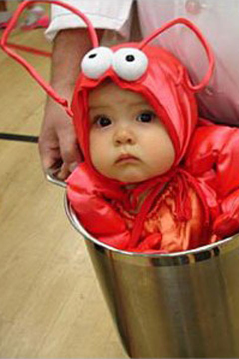 DIY Baby Halloween Costume
 Cute DIY Baby Halloween Costume Ideas Best Homemade