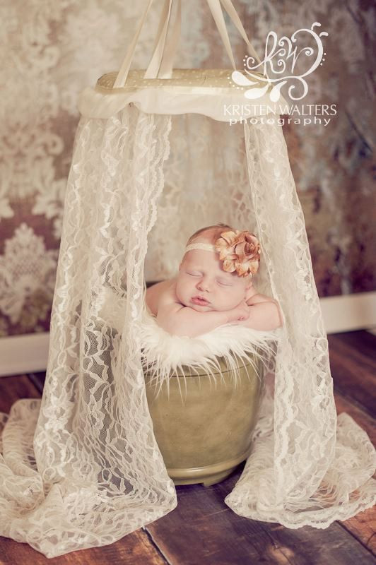 DIY Baby Pictures
 graphy Prop Lace Canopy Perfect for by