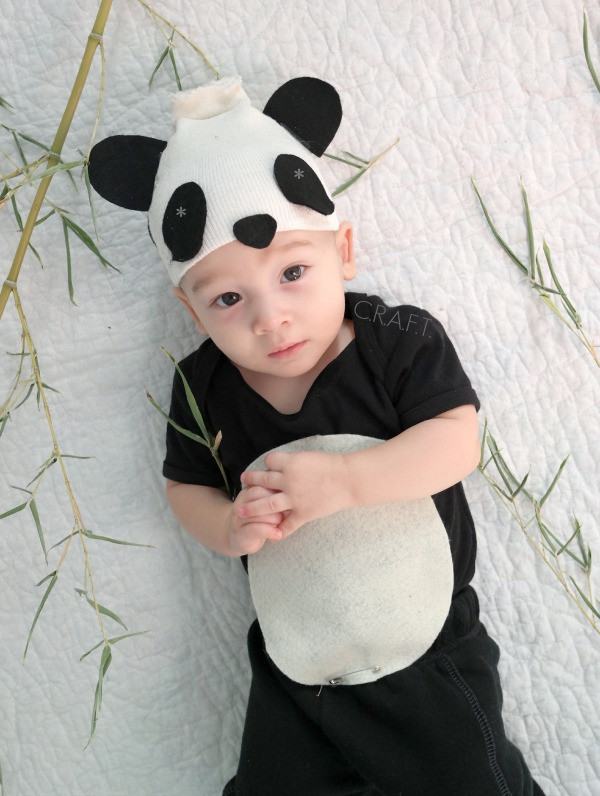 DIY Bear Costume
 37 Homemade Animal Costumes C R A F T