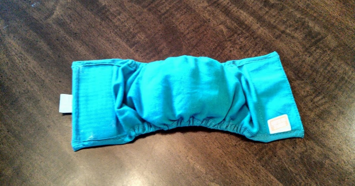 DIY Belly Bands For Dogs
 Grandma Bonnie s Closet Male Dog Belly Band Diaper DIY
