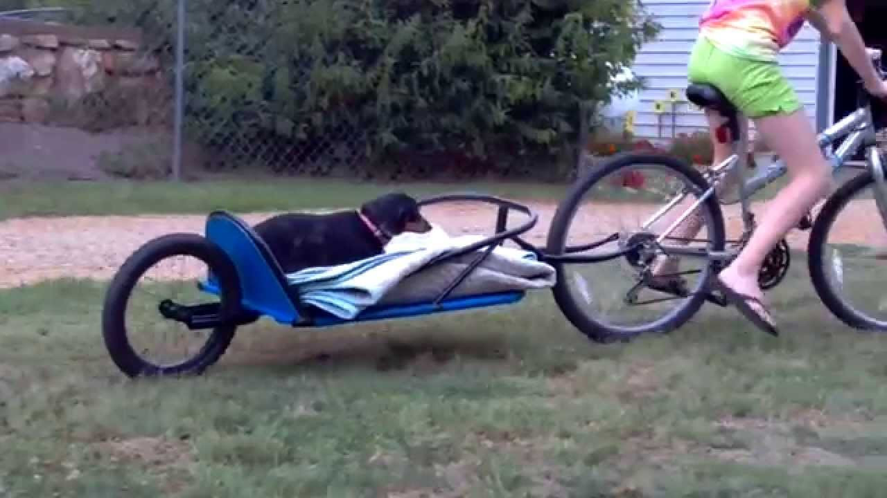 DIY Bicycle Trailer Plans
 DIY Bike Trailer part 1