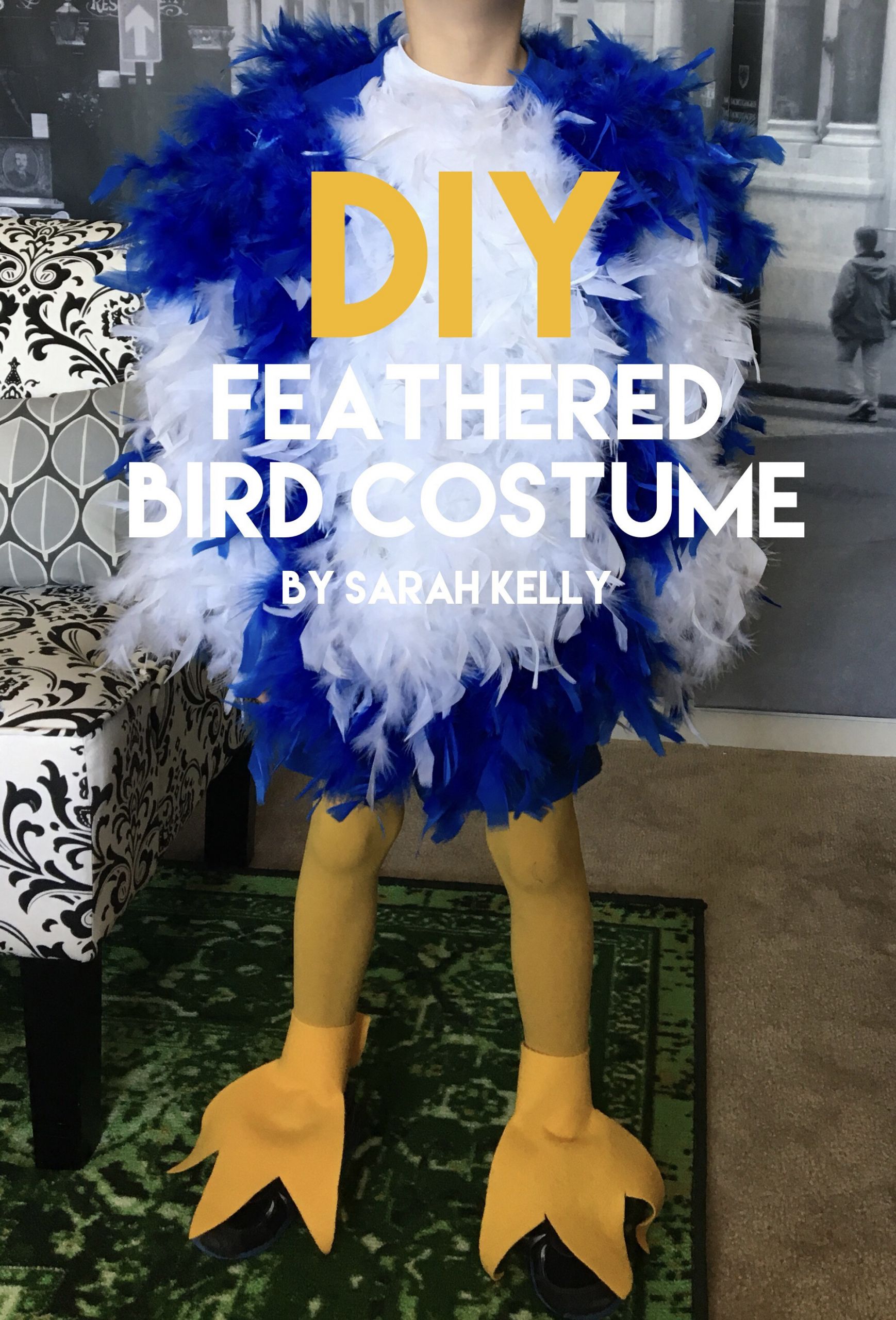 DIY Bird Costume
 DIY Bird Costume