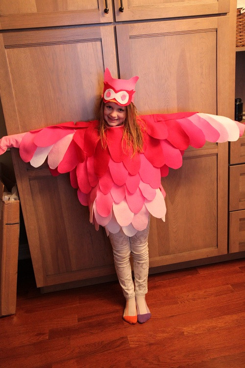 DIY Bird Costume
 DIY Pink Flamingo Owl Costume BargainBriana