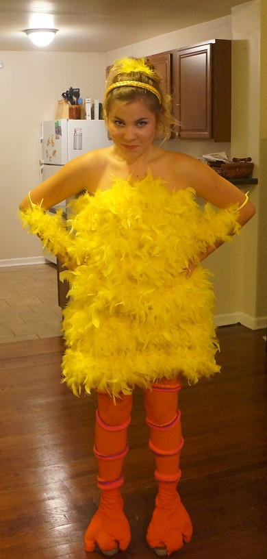DIY Bird Costume
 Halloween DIY Paulina’s Big Bird Costume