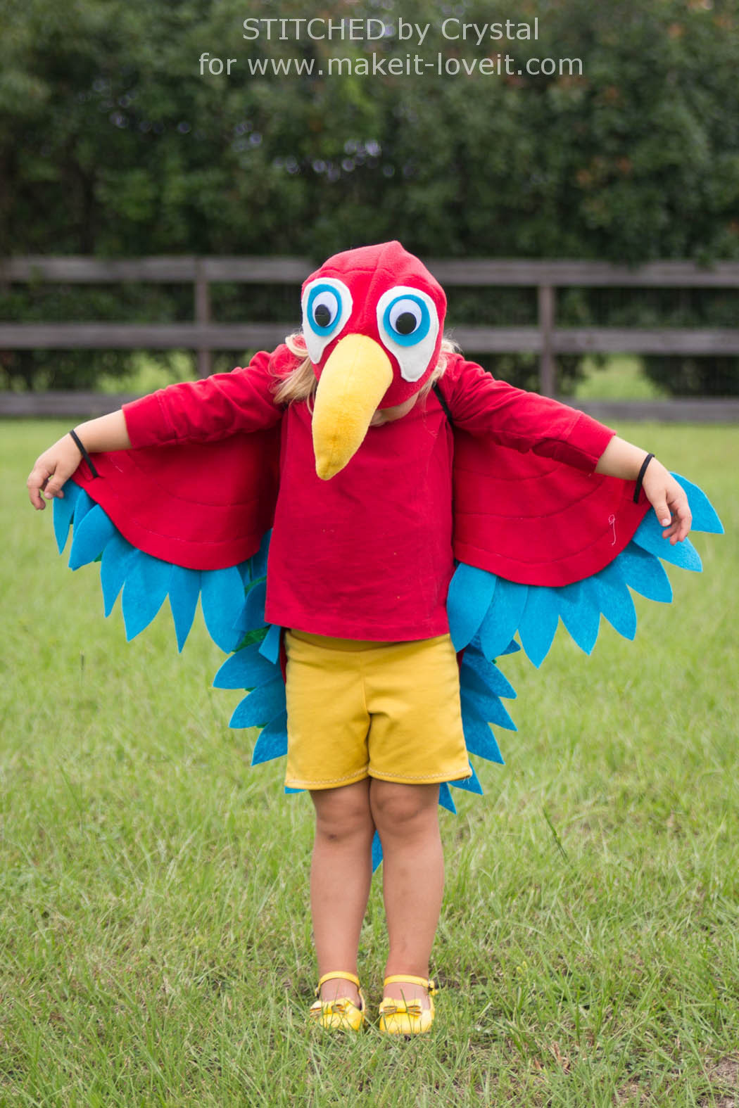 DIY Bird Costume
 Sew an Easy Parrot Costume
