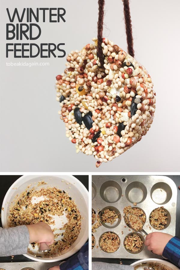 Diy Bird Feeder For Kids
 Making Birdseed Cookies for a DIY Winter Bird Feeder To