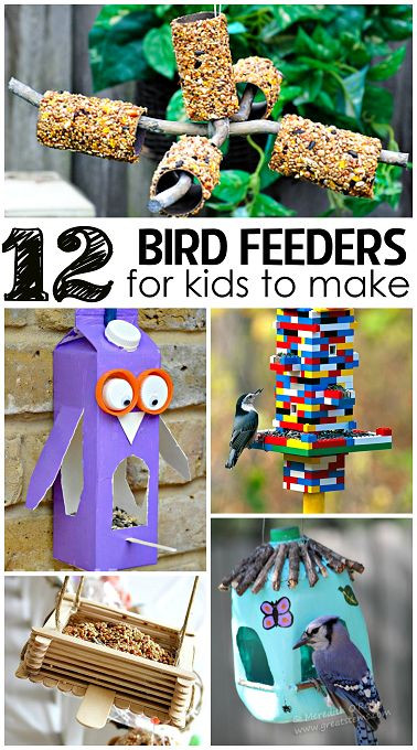 Diy Bird Feeder For Kids
 Diy Bird Feeder For Kids WoodWorking Projects & Plans